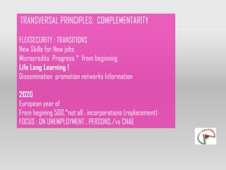TRANSVERSAL PRINCIPLES: COMPLEMENTARITY

FLEXSECURITY : TRANSITIONS
New Skills for New jobs
Microcredits Progress * from beginning
Life Long Learning !
Dissemination promotion networks Information

2020
European year of
From begining 500,*not all , incorporations (replacement)
FOCUS : ON UNEMPLOYMENT , PERSONS,/vs CNAE
 