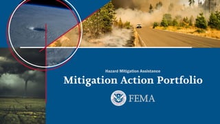 Hazard Mitigation Assistance
Mitigation Action Portfolio
 