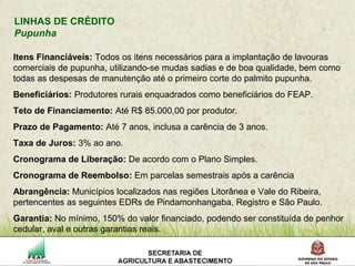 LINHAS DE CRÉDITO
Pupunha
Itens Financiáveis: Todos os itens necessários para a implantação de lavouras
comerciais de pupunha, utilizando-se mudas sadias e de boa qualidade, bem como
todas as despesas de manutenção até o primeiro corte do palmito pupunha.
Beneficiários: Produtores rurais enquadrados como beneficiários do FEAP.
Teto de Financiamento: Até R$ 85.000,00 por produtor.
Prazo de Pagamento: Até 7 anos, inclusa a carência de 3 anos.
Taxa de Juros: 3% ao ano.
Cronograma de Liberação: De acordo com o Plano Simples.
Cronograma de Reembolso: Em parcelas semestrais após a carência
Abrangência: Municípios localizados nas regiões Litorânea e Vale do Ribeira,
pertencentes as seguintes EDRs de Pindamonhangaba, Registro e São Paulo.
Garantia: No mínimo, 150% do valor financiado, podendo ser constituída de penhor
cedular, aval e outras garantias reais.
 