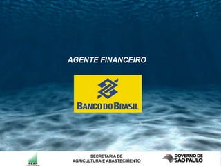 AGENTE FINANCEIRO 
