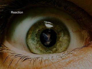 Reaction
 
