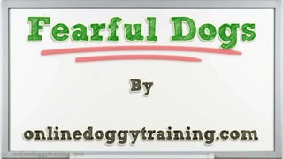 Fearful Dogs Training
