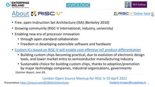 RISC-V Online Tutor | PDF