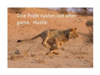 One Pride rushes out after
game. Hustle.
 