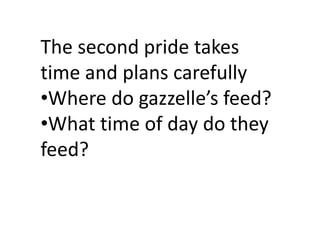 The second pride takes
time and plans carefully
•Where do gazzelle’s feed?
•What time of day do they
feed?
 