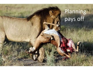 Planning
pays off
 