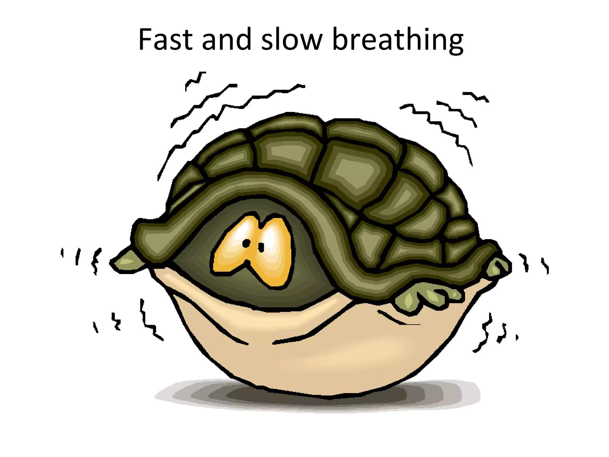 Fast and slow breathing  