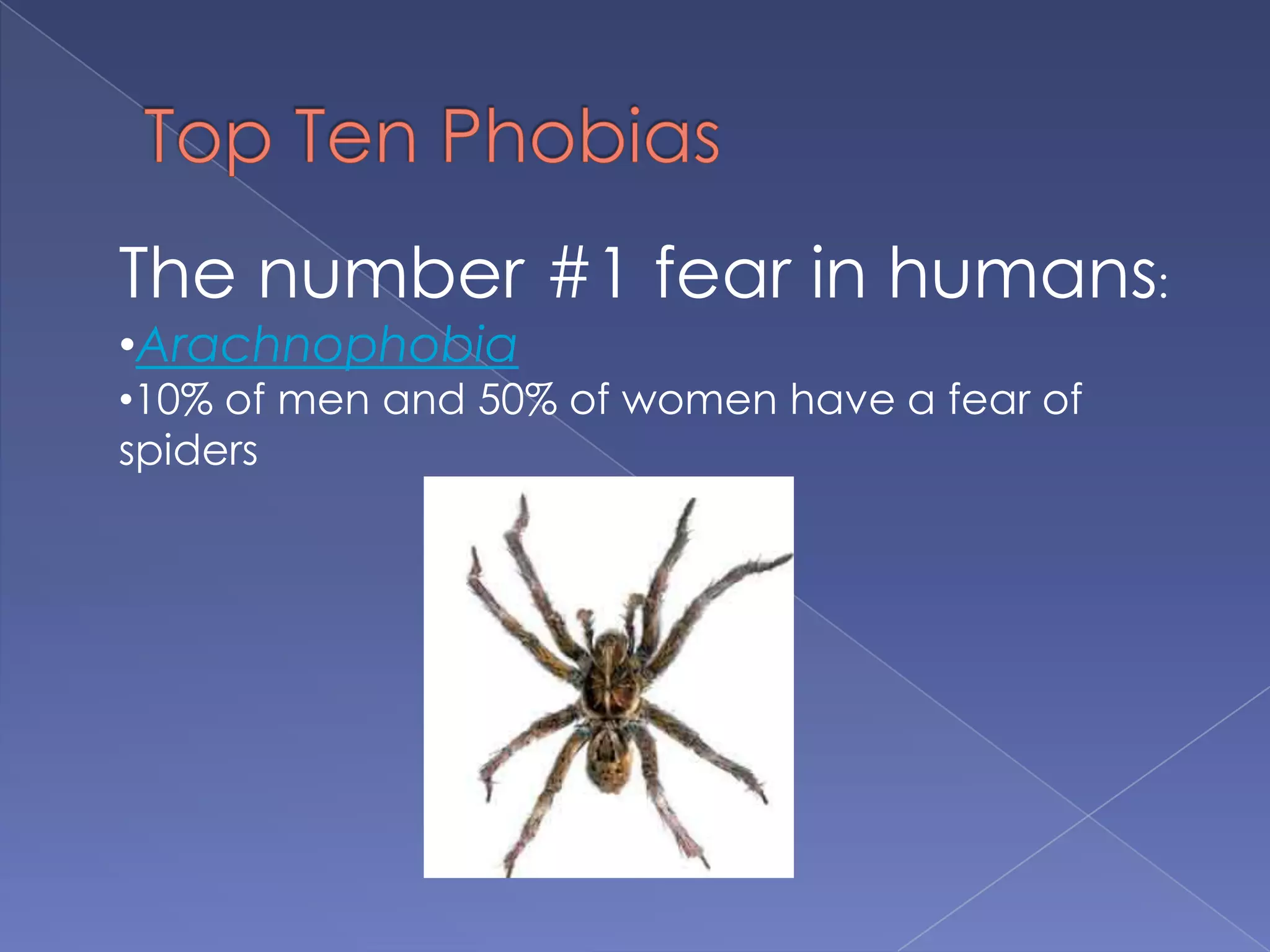 The number #1 fear in humans:
•Arachnophobia
•10% of men and 50% of women have a fear of
spiders