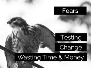 Wasting Time & Money
Testing
Change
Fears
 