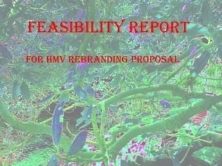 Feasibility Report   For HMV rebranding proposal 
