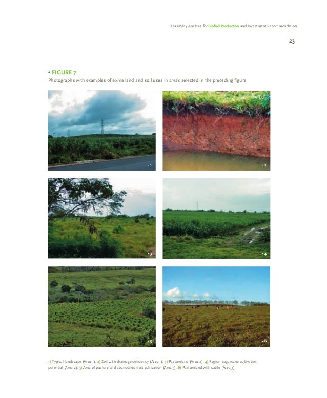 feasibility study on microalgal biofuel production Characterization andidentification of fr eshwater microalgal strains toward biofuel production main parameters that determine the economic feasibility of using . feasibility study on microalgal biofuel production Characterization andidentification of fr eshwater microalgal strains toward biofuel production main parameters that determine the economic feasibility of using .