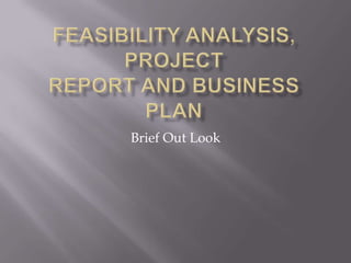 Feasibility analysis, project