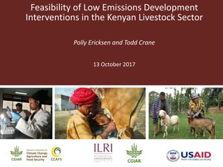 Feasibility of Low Emissions Development
Interventions in the Kenyan Livestock Sector
Polly Ericksen and Todd Crane
13 October 2017
 