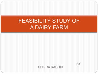 BY
SHIZRA RASHID
FEASIBILITY STUDY OF
A DAIRY FARM
 