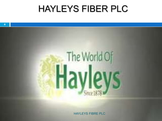 HAYLEYS FIBER PLC
4
HAYLEYS FIBRE PLC
 