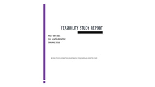 Feasibility Study Report