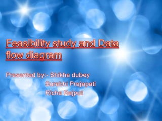 Feasibility study and data flow diagram | PPTX