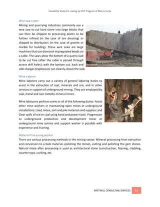 Esif Ii.pdf Feasibility study for scaling up ESIF program | PDF