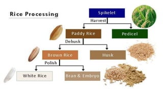 Molla Rice Feasibility study on rice husking plant by Razin Sazzad Molla | PPTX