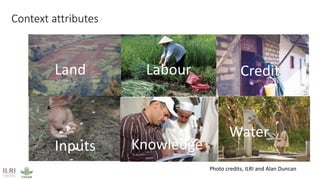 Mapping livestock feed resources and targeting technologies: Making the most of FEAST and TechFit 