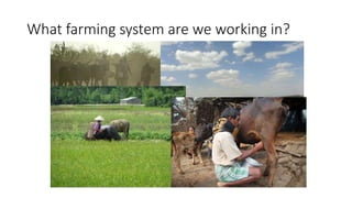 Mapping livestock feed resources and targeting technologies: Making the most of FEAST and TechFit 