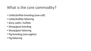 Mapping livestock feed resources and targeting technologies: Making the most of FEAST and TechFit 