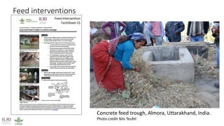 Mapping livestock feed resources and targeting technologies: Making the most of FEAST and TechFit 