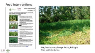 Mapping livestock feed resources and targeting technologies: Making the most of FEAST and TechFit 