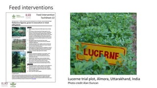 Mapping livestock feed resources and targeting technologies: Making the most of FEAST and TechFit 