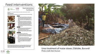 Mapping livestock feed resources and targeting technologies: Making the most of FEAST and TechFit 