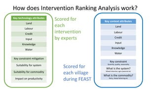 Mapping livestock feed resources and targeting technologies: Making the most of FEAST and TechFit 