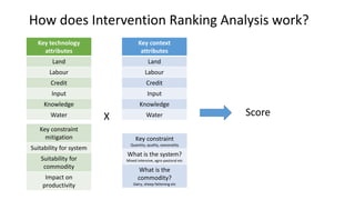 Mapping livestock feed resources and targeting technologies: Making the most of FEAST and TechFit 