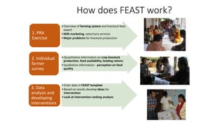 Mapping livestock feed resources and targeting technologies: Making the most of FEAST and TechFit 
