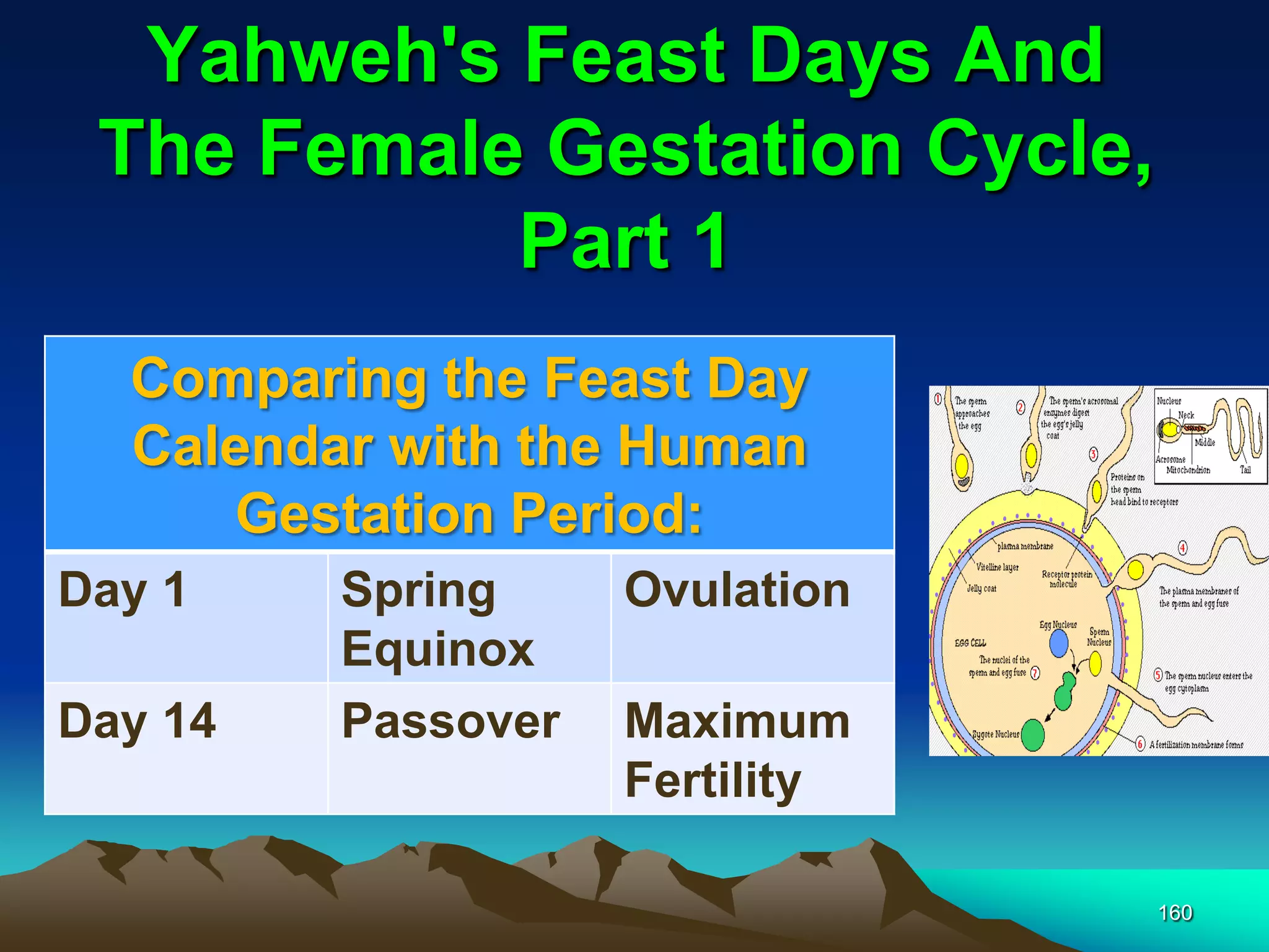Yahweh's Feast Days And
The Female Gestation Cycle,
Part 1
160
Comparing the Feast Day
Calendar with the Human
Gestation Period:
Day 1 Spring
Equinox
Ovulation
Day 14 Passover Maximum
Fertility
 