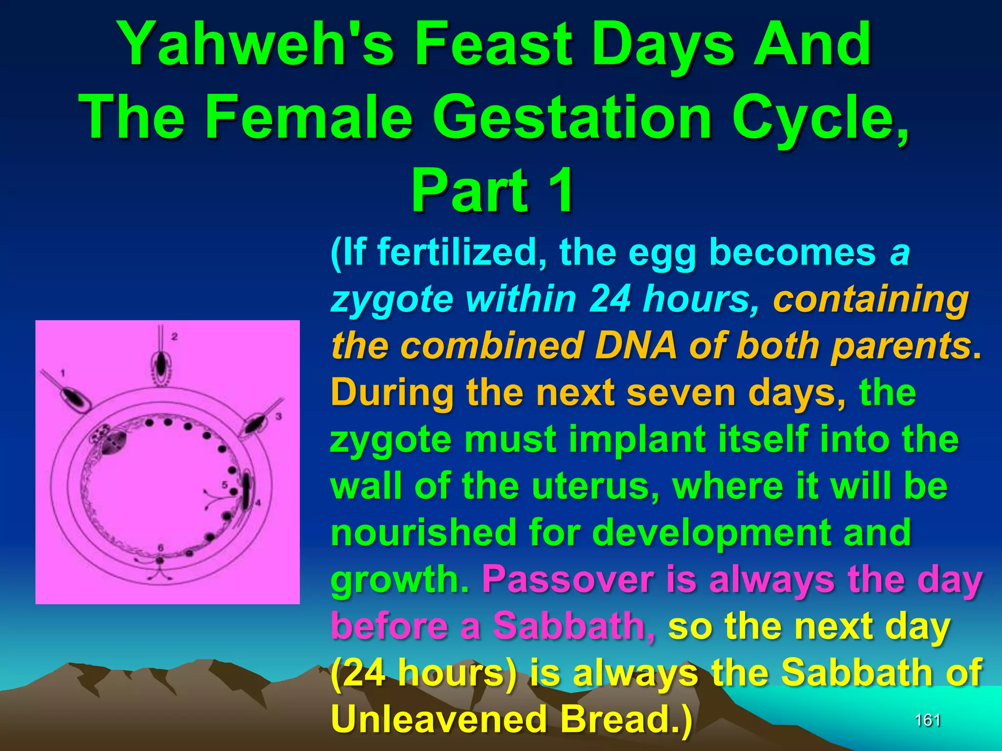Yahweh's Feast Days And
The Female Gestation Cycle,
Part 1
161
(If fertilized, the egg becomes a
zygote within 24 hours, containing
the combined DNA of both parents.
During the next seven days, the
zygote must implant itself into the
wall of the uterus, where it will be
nourished for development and
growth. Passover is always the day
before a Sabbath, so the next day
(24 hours) is always the Sabbath of
Unleavened Bread.)
 