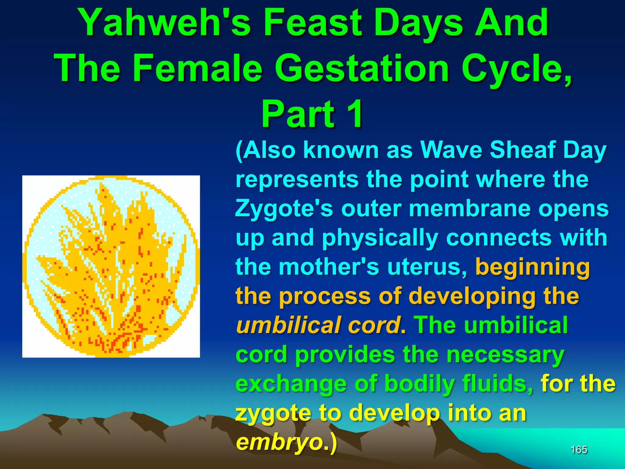 Yahweh's Feast Days And
The Female Gestation Cycle,
Part 1
165
(Also known as Wave Sheaf Day
represents the point where the
Zygote's outer membrane opens
up and physically connects with
the mother's uterus, beginning
the process of developing the
umbilical cord. The umbilical
cord provides the necessary
exchange of bodily fluids, for the
zygote to develop into an
embryo.)
 