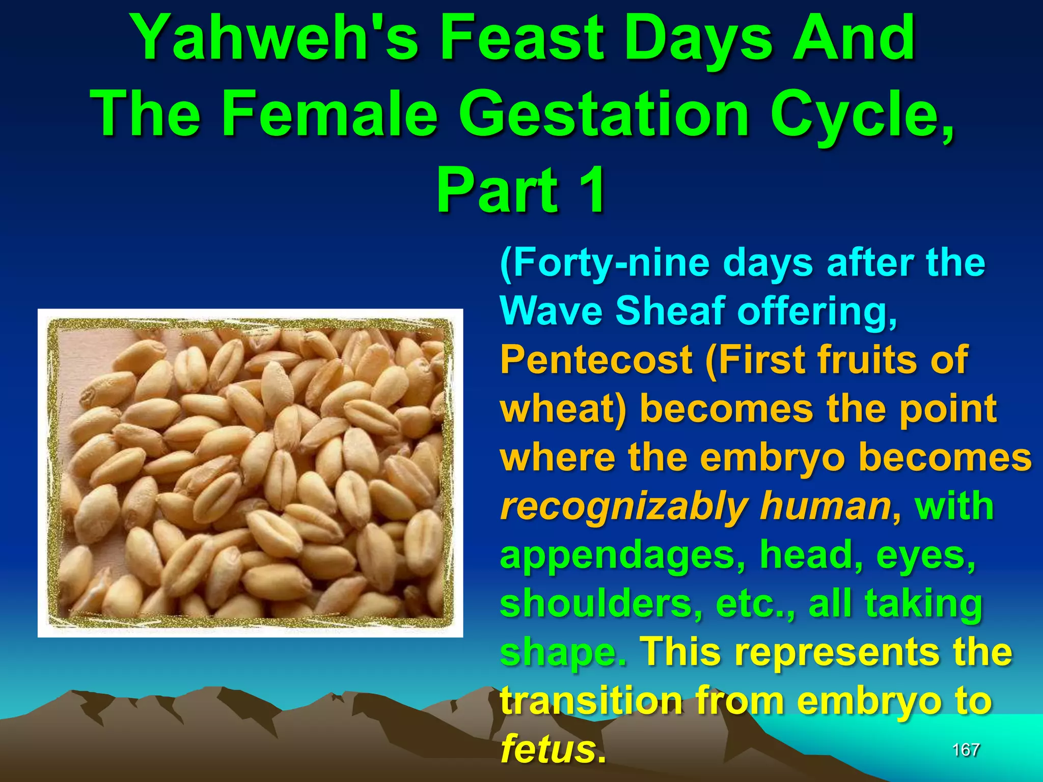 Yahweh's Feast Days And
The Female Gestation Cycle,
Part 1
167
(Forty-nine days after the
Wave Sheaf offering,
Pentecost (First fruits of
wheat) becomes the point
where the embryo becomes
recognizably human, with
appendages, head, eyes,
shoulders, etc., all taking
shape. This represents the
transition from embryo to
fetus.
 