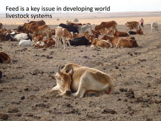 FEAST: Why, What, When, Where …. So What, What Next? 