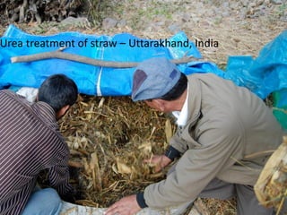 FEAST: Why, What, When, Where …. So What, What Next? 