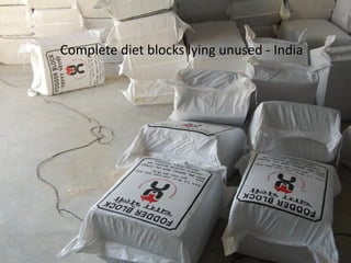 FEAST: Why, What, When, Where …. So What, What Next? 