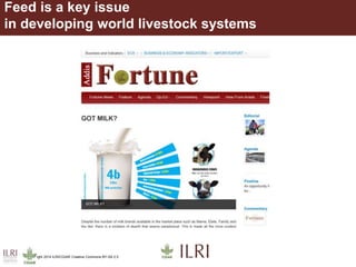 2 Copyright 2014 ILRI/CGIAR Creative Commons BY-SA 2.5
Feed is a key issue
in developing world livestock systems
 