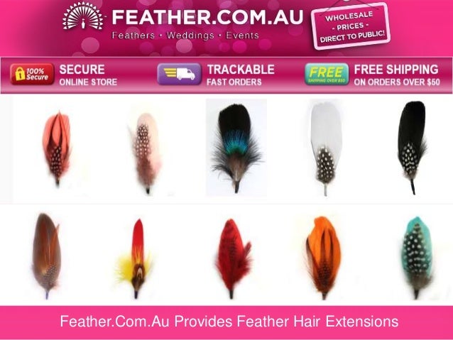 Feather Com Au Provides Feather Hair Extensions