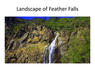 Landscape of Feather Falls
 