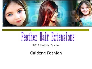 -2011 Hottest Fashion Caideng Fashion Feather Hair Extensions 