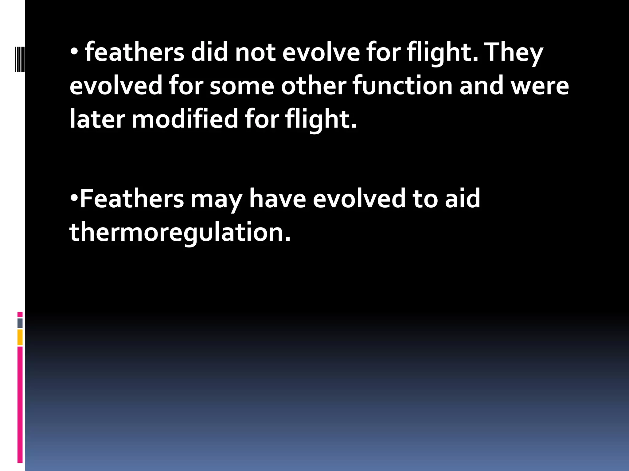 • feathers did not evolve for flight. They
evolved for some other function and were
later modified for flight.

•Feathers may have evolved to aid
thermoregulation.
 