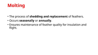 Molting
• The process of shedding and replacement of feathers.
• Occurs seasonally or annually.
• Ensures maintenance of feather quality for insulation and
flight.
 