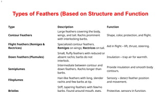 Types of Feathers (Based on Structure and Function
Type Description Function
Contour Feathers
Large feathers covering the body,
wings, and tail. Rachis prominent
with interlocking barbs.
Shape, color, protection, and flight.
Flight Feathers (Remiges &
Rectrices)
Specialized contour feathers.
Remiges on wings; Rectrices on tail.
Aid in flight – lift, thrust, steering.
Down Feathers (Plumules)
Small, fluffy feathers with reduced or
absent rachis; barbs do not
interlock.
Insulation – trap air for warmth.
Semiplumes
Intermediate between contour and
down feathers. Rachis longer than
barbs.
Provide insulation and smooth body
contours.
Filoplumes
Hair-like feathers with long, slender
rachis and few barbs at tip.
Sensory – detect feather position
and movement.
Bristles
Stiff, tapering feathers with few/no
barbs. Found around mouth, eyes, Protective, sensory in function.
)
 