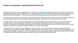 Feathers and Appetites: Exploring What Do Ducks Eat
Ducks are fascinating and versatile waterfowl that can be found in a wide range of habitats around the world. Whether you spot them
gracefully gliding across ponds or waddling on land, understanding what ducks eat is key to appreciating their dietary preferences and
supporting their natural behaviors. In this article, we will explore what do ducks eat and gain insights into their feeding habits.
Ducks are opportunistic feeders, meaning they have a flexible diet that includes both plant and animal matter. Their feeding habits may
vary based on the species, habitat, and the availability of food sources. Let's delve into the components of a duck's diet.
1. Aquatic Plants: Ducks are primarily herbivorous and have a strong affinity for various aquatic plants. They consume a variety of
submerged plants, such as pondweeds, watermilfoils, and duckweeds. Additionally, they feed on emergent plants like cattails,
bulrushes, and water lilies. These plants provide essential nutrients and play a significant role in a duck's diet. Ducks often submerge
their heads underwater or dabble at the water's surface to reach these aquatic plants.
2. Seeds and Grains: Ducks have a keen appetite for seeds and grains. They forage in fields, meadows, and agricultural areas,
consuming various seeds from grasses, sedges, and cereal crops like wheat, barley, and corn. In particular, they are attracted to areas
where grains have fallen to the ground or are easily accessible. Ducks may also feed on leftover grains in farm fields after the harvest.
Their ability to digest and utilize the energy from seeds and grains is an important aspect of their diet.
 