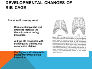 Featl transition to neonatal period. ppt.pptx