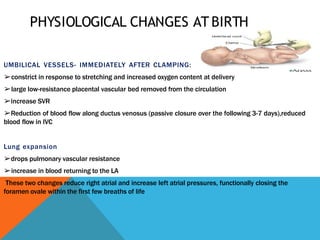 Featl transition to neonatal period. ppt.pptx